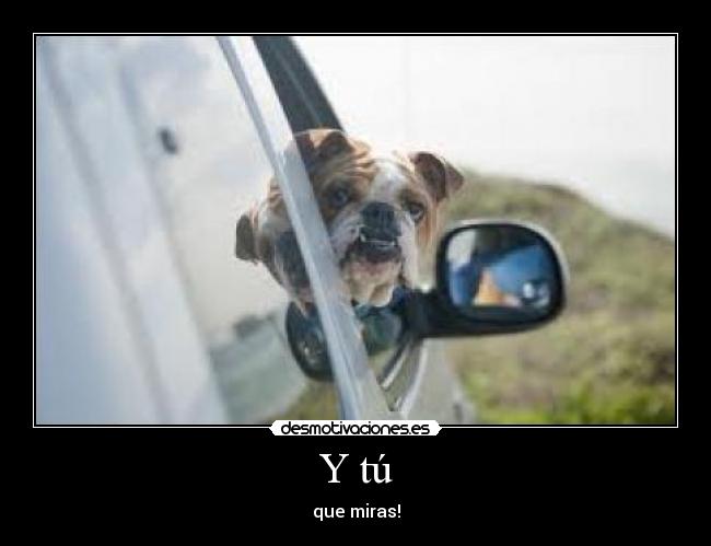 Y tú - que miras!