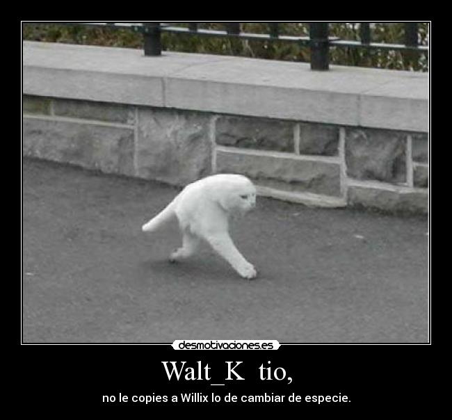 Walt_K tio, -