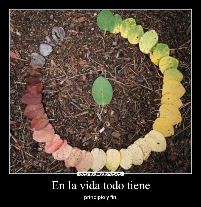 En la vida todo tiene - 