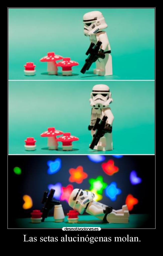 Las setas alucinógenas molan. - 