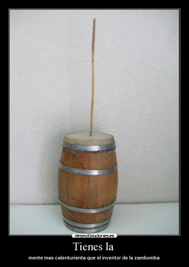 Tienes la  - mente mas calenturienta que el inventor de la zambomba 