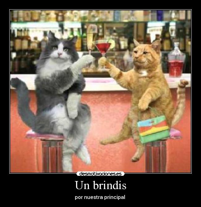 Un brindis -