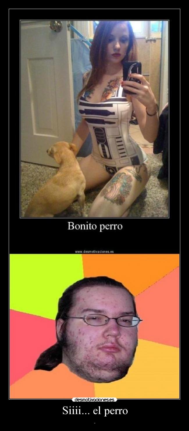 Siiii... el perro - 