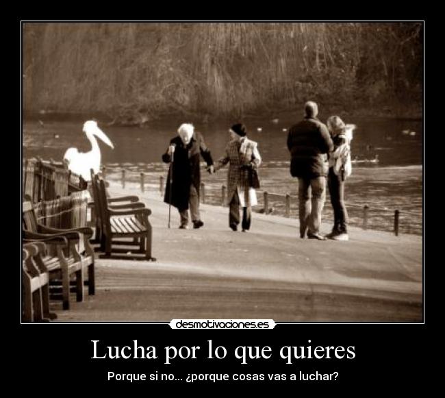 Lucha por lo que quieres - 