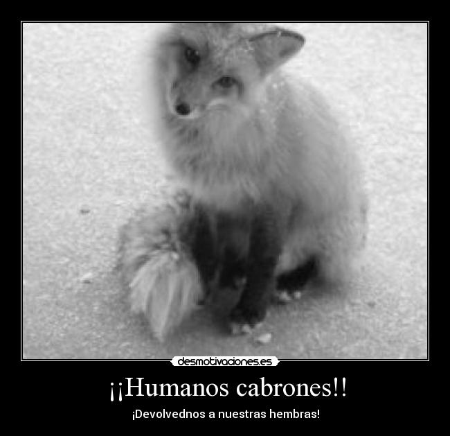 ¡¡Humanos cabrones!! - 