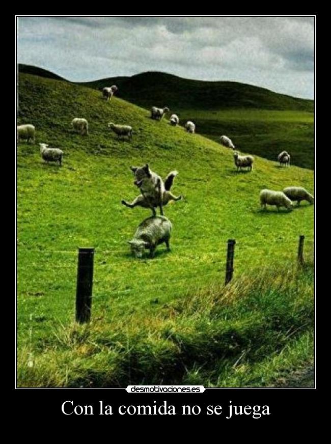 carteles comida desmotivaciones