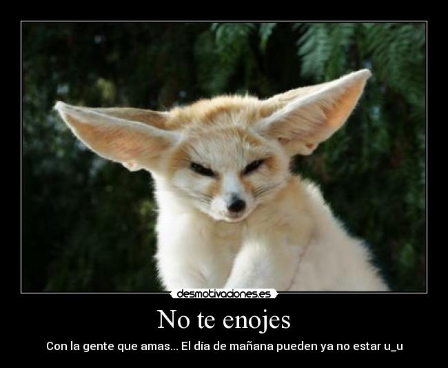 No te enojes - 