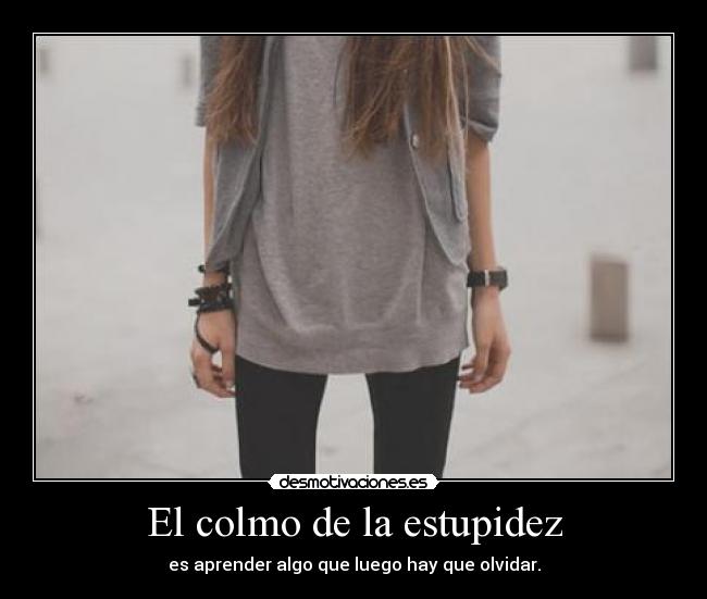 El colmo de la estupidez -