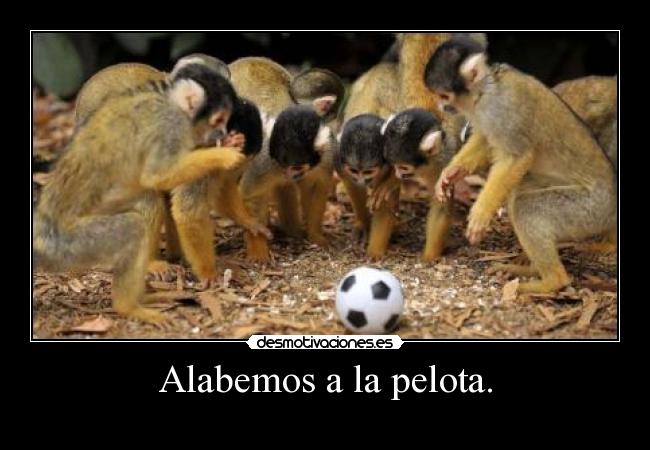 Alabemos a la pelota. -