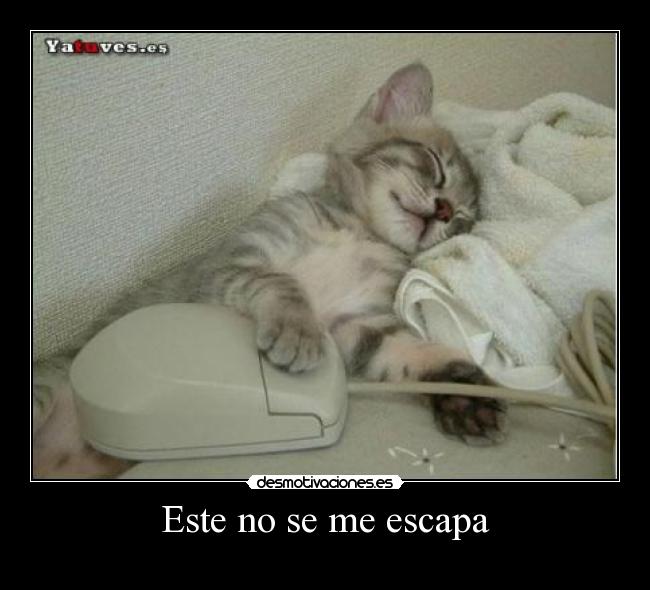 Este no se me escapa - 