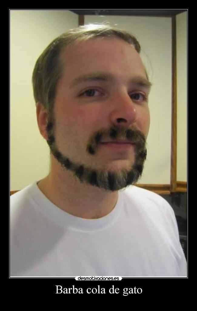Barba cola de gato - 