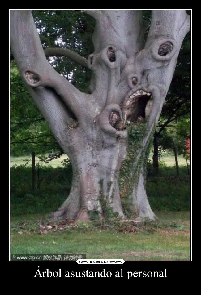 Árbol asustando al personal -
