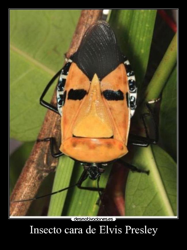 carteles fefeeeweweewewewew desmotivaciones