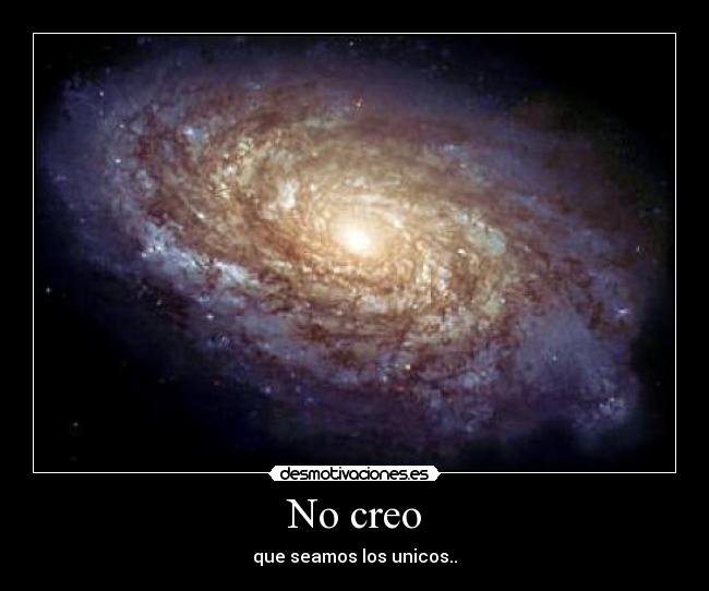No creo - 