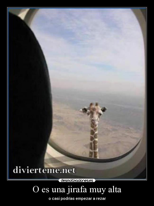 carteles fefeeeweweewewewew desmotivaciones