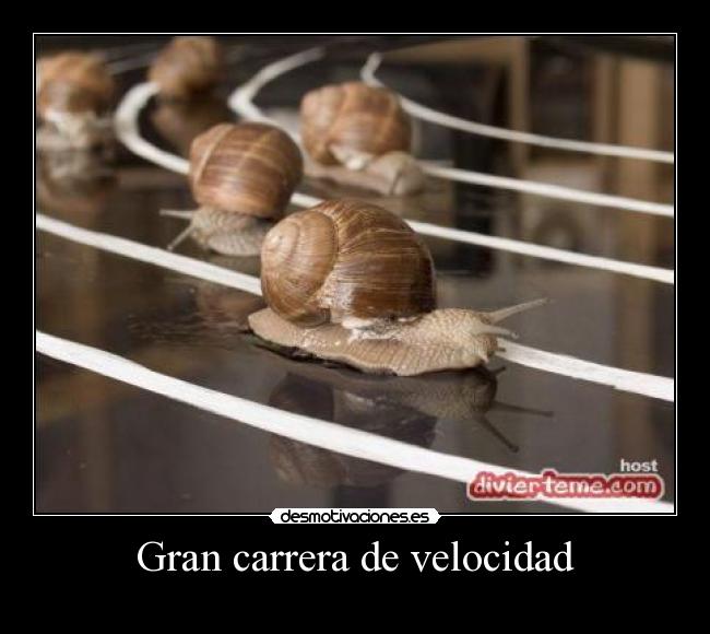 Gran carrera de velocidad -