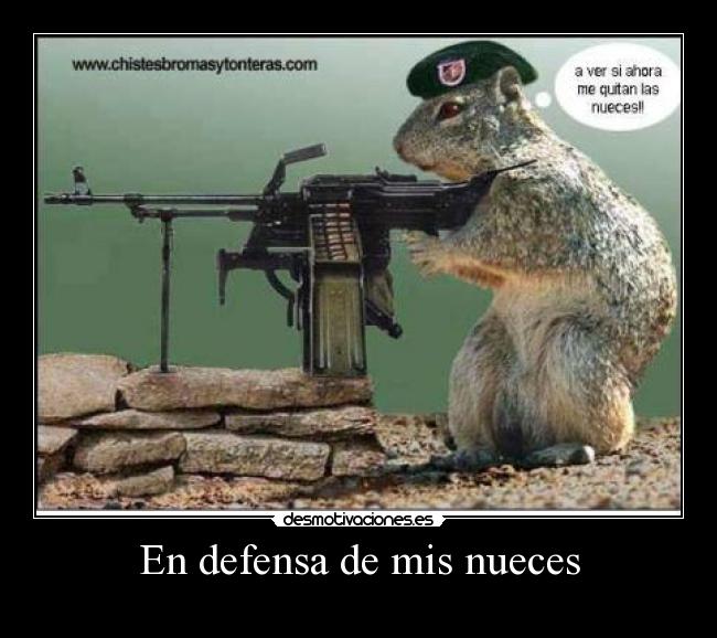 En defensa de mis nueces - 