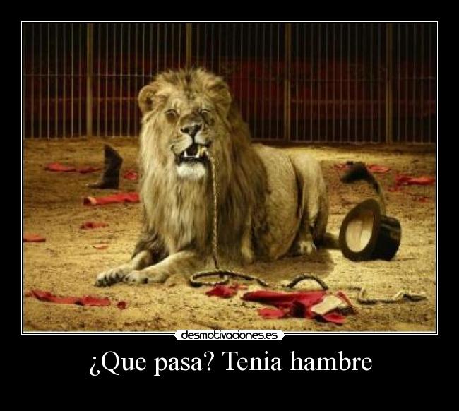 ¿Que pasa? Tenia hambre - 