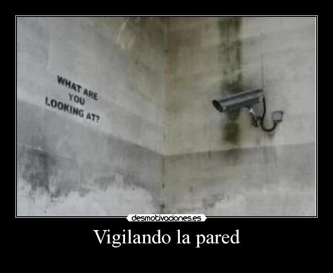 Vigilando la pared -