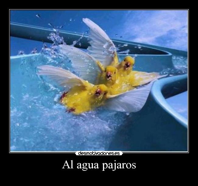 carteles fefeeeweweewewewew desmotivaciones