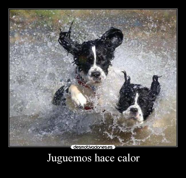 carteles fefeeeweweewewewew desmotivaciones