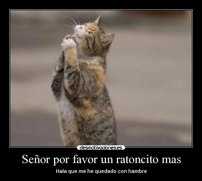 Señor por favor un ratoncito mas - Hala que me he quedado con hambre