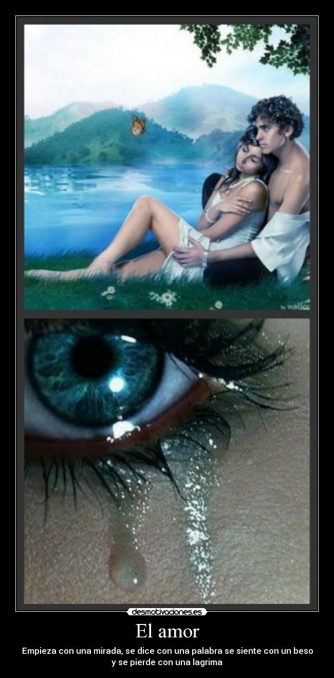 El amor - 