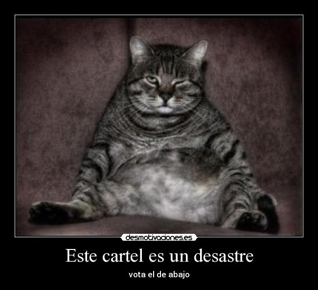 Este cartel es un desastre -