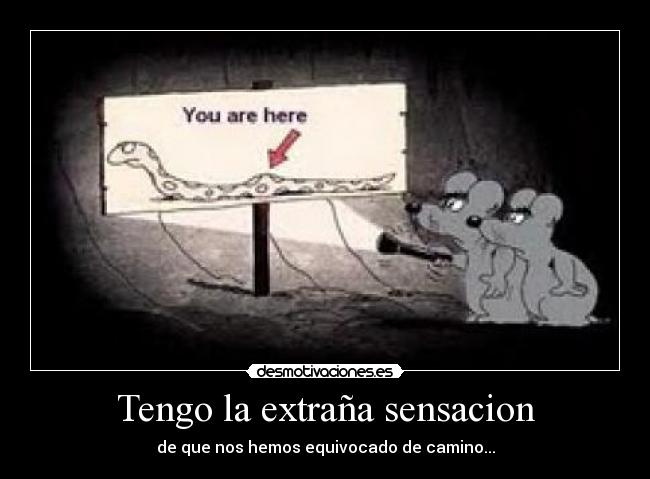 carteles oiuhygtfr desmotivaciones