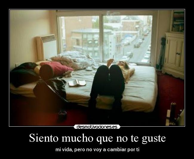 Siento mucho que no te guste -