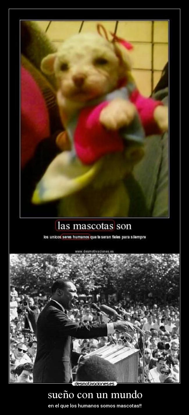 sueño con un mundo - en el que los humanos somos mascotas!!