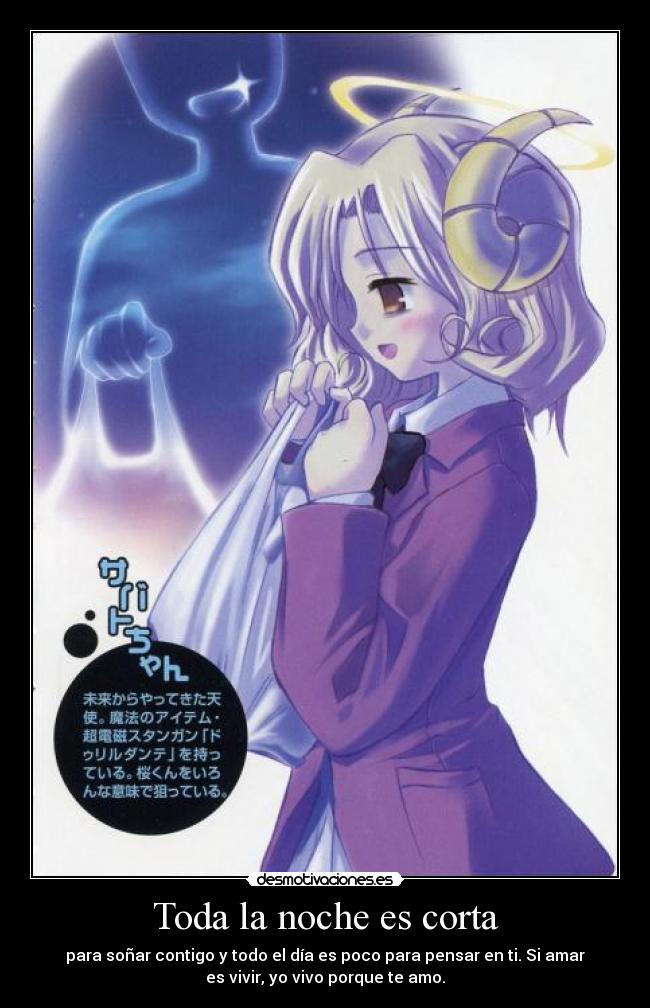 Toda la noche es corta -