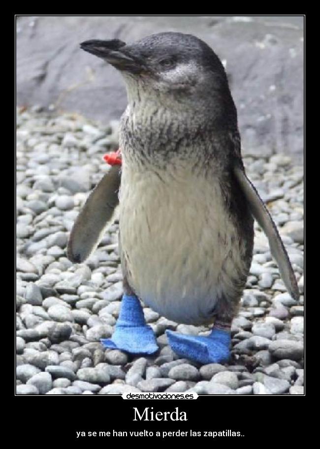 Mierda -