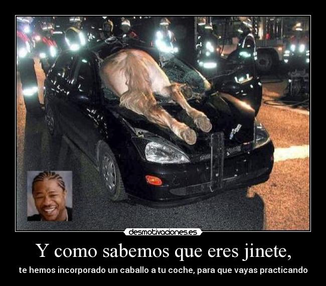 Y como sabemos que eres jinete, -