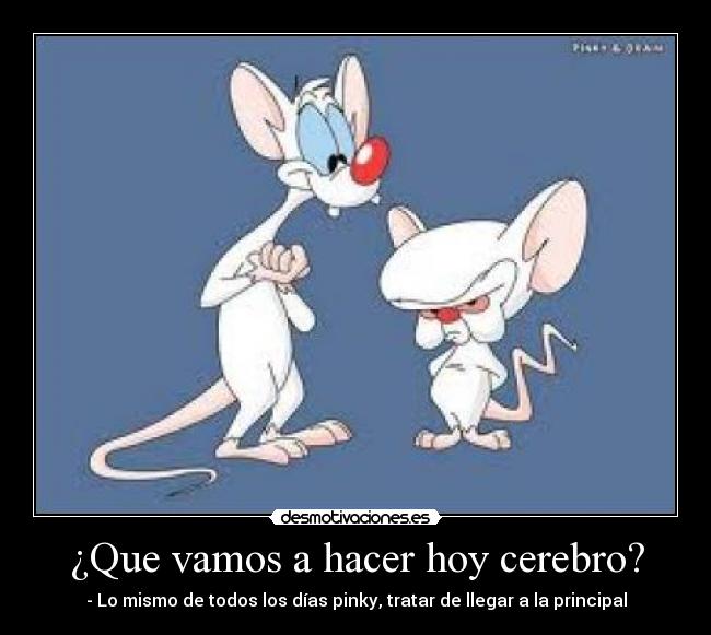 ¿Que vamos a hacer hoy cerebro? - - Lo mismo de todos los días pinky, tratar de llegar a la principal