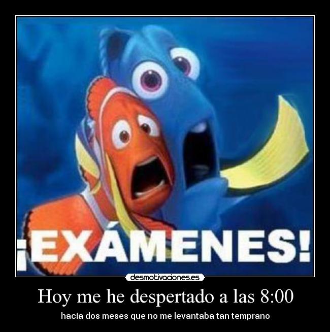 Hoy me he despertado a las 8:00 - 