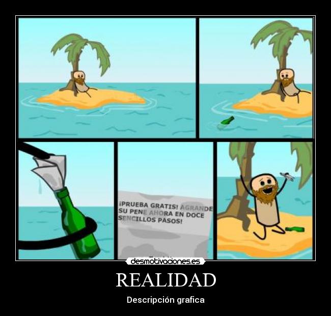 REALIDAD - Descripción grafica