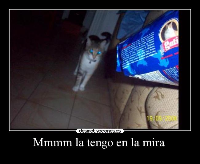 Mmmm la tengo en la mira -