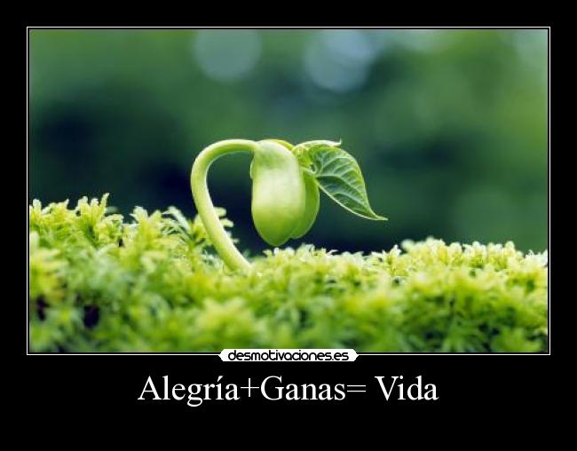Alegría+Ganas= Vida -