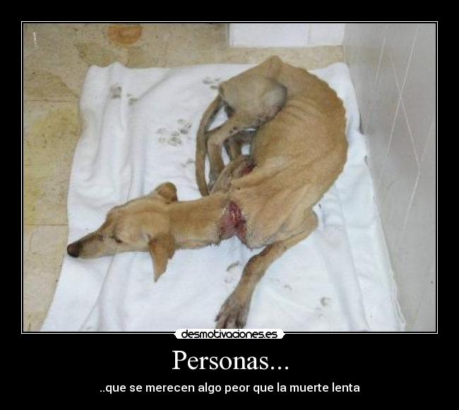 carteles maldad desmotivaciones