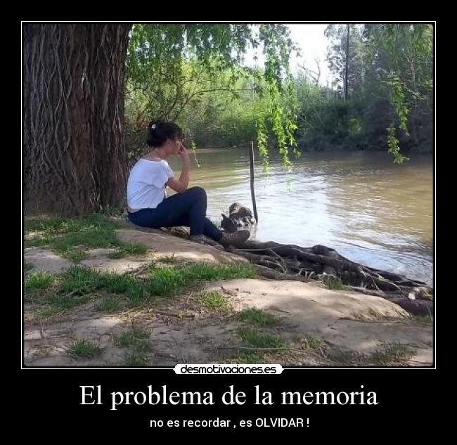 El problema de la memoria -
