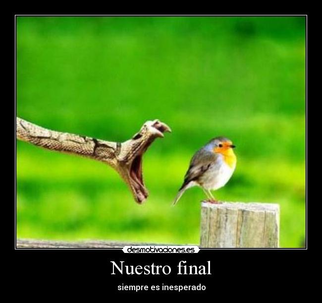 Nuestro final -