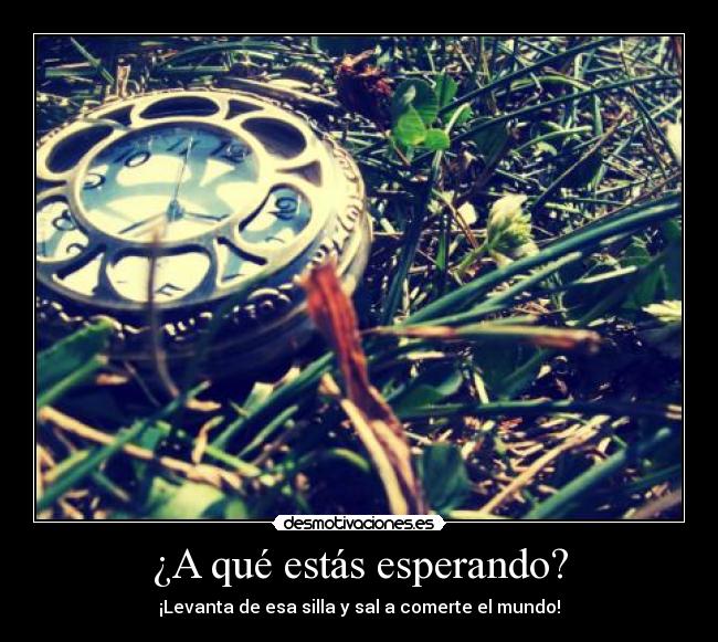 ¿A qué estás esperando? - ¡Levanta de esa silla y sal a comerte el mundo!