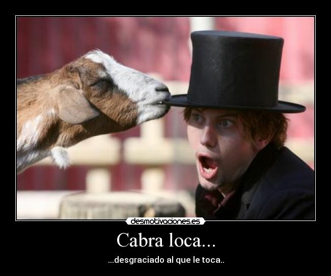 Cabra loca... -