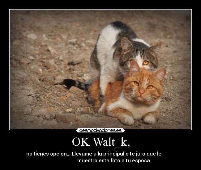 carteles llevame principal desmotivaciones