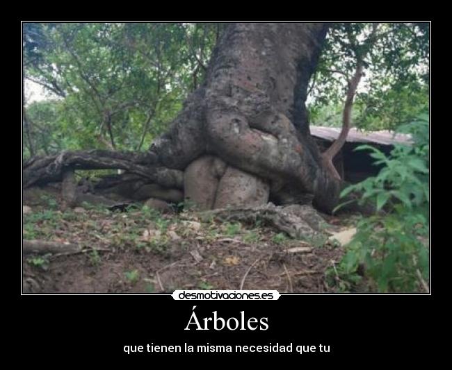Árboles -