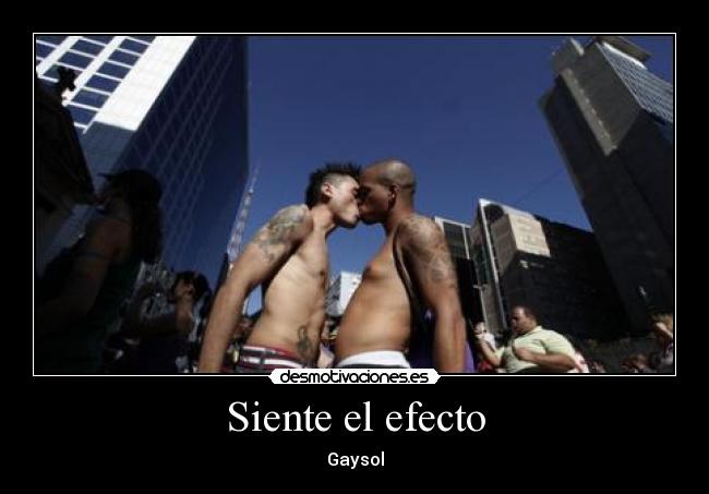 Siente el efecto - Gaysol