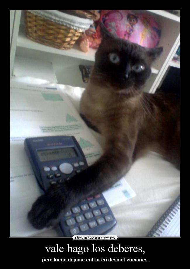 vale hago los deberes, - pero luego dejame entrar en desmotivaciones.