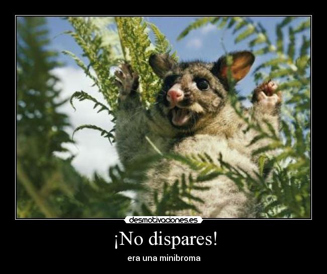 ¡No dispares! - era una minibroma