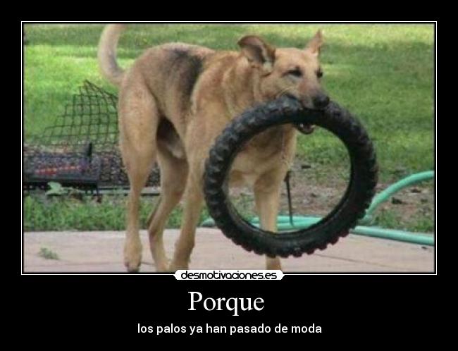 Porque  - 